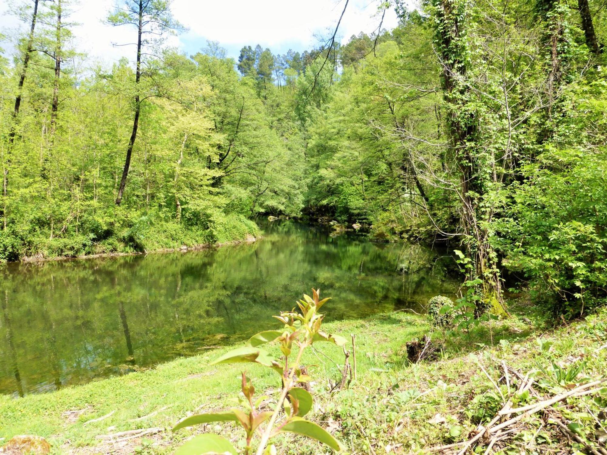 Chateau Du Fraissinet, 6 Gites Sleeping 2-8 Guests, Pool And River On Site La Tronche (Gard) Exterior foto