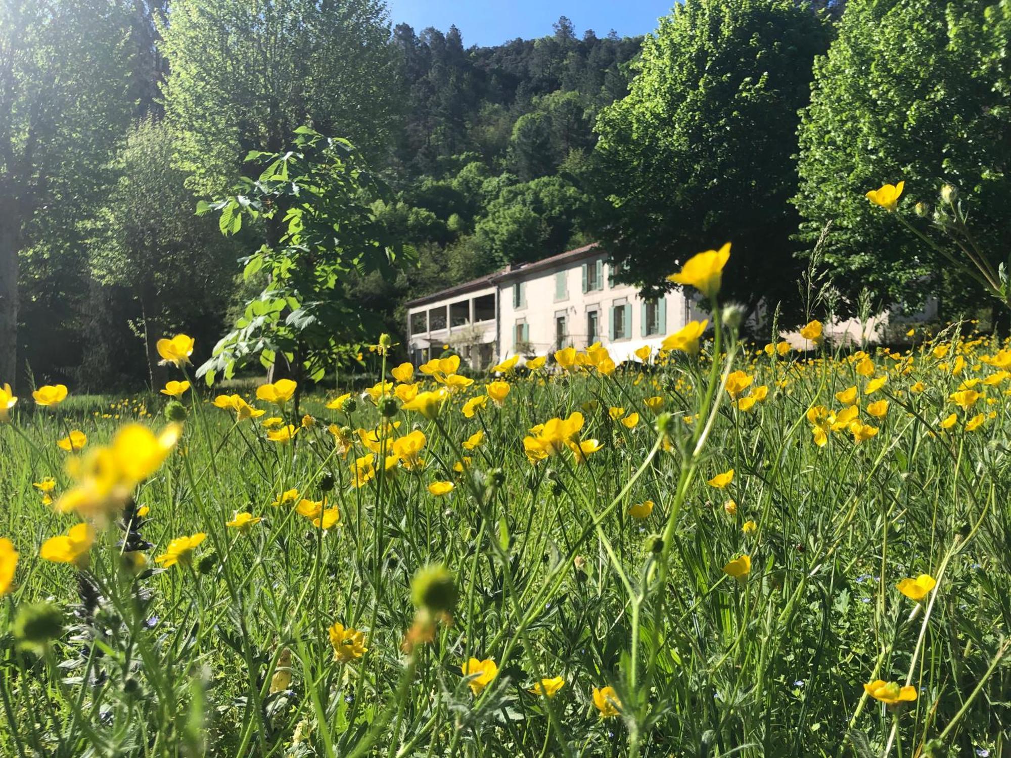 Chateau Du Fraissinet, 6 Gites Sleeping 2-8 Guests, Pool And River On Site La Tronche (Gard) Exterior foto