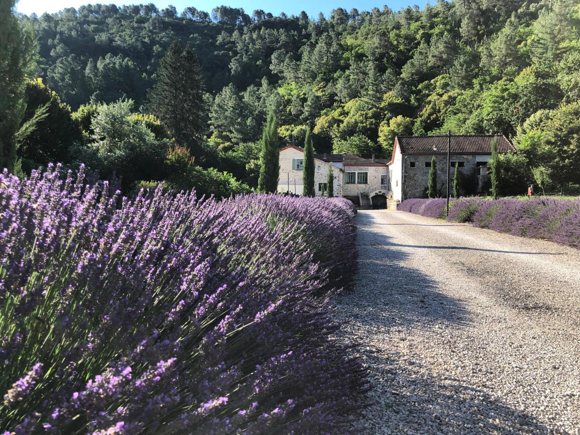 Chateau Du Fraissinet, 6 Gites Sleeping 2-8 Guests, Pool And River On Site La Tronche (Gard) Exterior foto